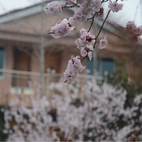 һϮ���£������ƻã��������ҵ����
һ