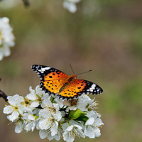 �ҡ������ޣ���ϲ����һ����