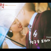 ɹɹ�������Ƭ