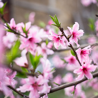 ���һЩ����