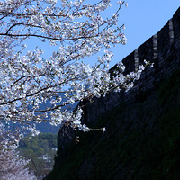 ǧ��ų� ����ӣ��