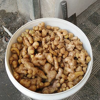 ����80���С���� ��ս����