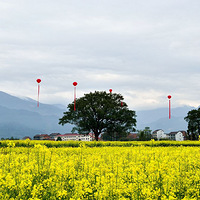 �ɾ�˫���Ͳ˻���