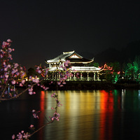 ҹĻ�µ����