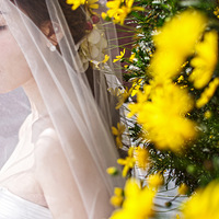 ����������ͷ���ů����������  �������ĸ�д���