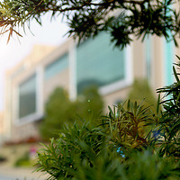 ��ɫ������ǧ��