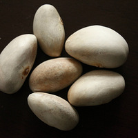 �²�����ɶ����