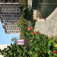 �ֻ�����