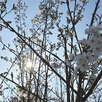 �������̫���ˣ�����ģ�������