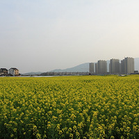 �羰�����ޣ�����Ҳ�����������ǽ�......