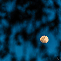 ��������ͷ����Լ�ƻ��