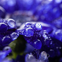 ΢������