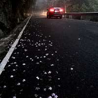 ����ϼ��ң������ֻ��棩