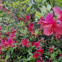 �ֻ����ɾ��¸��ɹ���