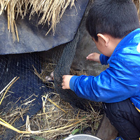��4��6�������¡�+�񼦵���С����  