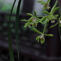 ǫǫ���� ��������