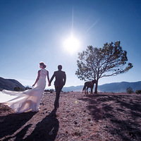 ����ϣ��Ӱ��2015ȫ������֮��������·������վ����