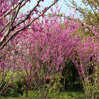 ������·�����ָ�̡�