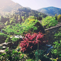 �����ô��ż��˳����ɲɲ裬���ﹷ��̤̤�࣡