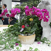 ����֮��