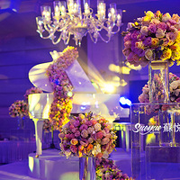 SUEYUE����������� �ɡ�