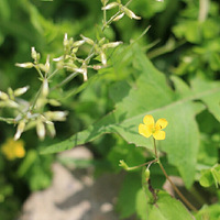 С̵�۾�ͷ��ϰ��