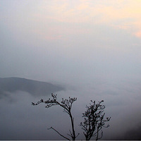 ��̨��ɽ���ճ����ƾ����桭