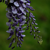 ���ٻ���