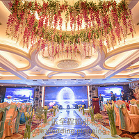 ϲ����Ƭ�ٵ�-��������