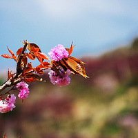 Զ�붼�У���ȴ��