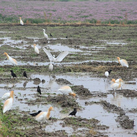 �ִ�ũҵ����Ȼ��