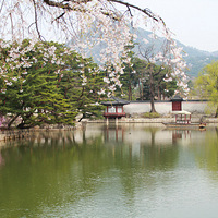 һ������İ��ɻ������������ǲɻ�