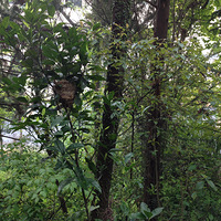 ����ɫ����