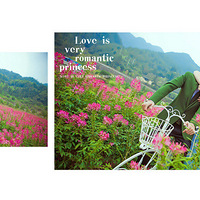 ��ʱ�а�ɯ�� �й���ˮ���������Ƭ���� 