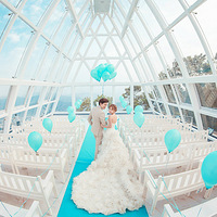 ��ʱ�а�ɯ���鲩�� �ػ�ר����������