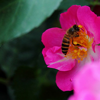 Ǿޱ���� ��԰Ʈ��