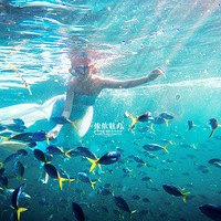 ʲô����ˣ����ڰ��ģ������������������ڷ������á����͡�