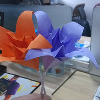 �о��Լ������գ�