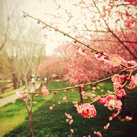 ��ʱ���ǻ����Ǿ���