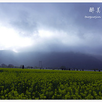 ����̨�ݣ���������