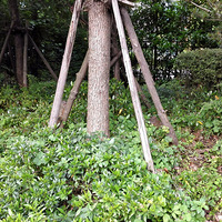 ·�Ϸ�����ֻ����