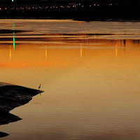 ҹĻ�µ��ٺ�