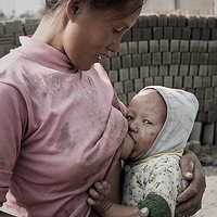 ������Ƭ���������Ӱʦ��