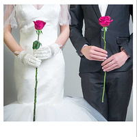 ��������ʻ�ɴ����Ƭ���ȿ���198��-õ��֮��