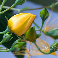 ��˿���һ�