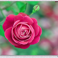 ��������ġ������¼��˼��˰�