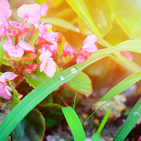 ����������