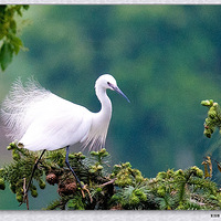 ������ʱ�ڡ�����Ʈ�ݲ�ѷ��