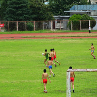 δ�����˶�����