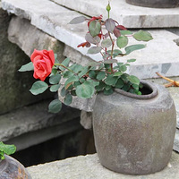 ��̨���ͷ�򰶴�